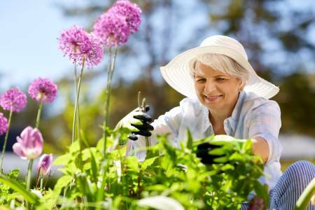 The Still Active program usedby Hobart Council pairs up volunteers or "gardening mates" with seniors to help them get outdoors and work in their gardens.