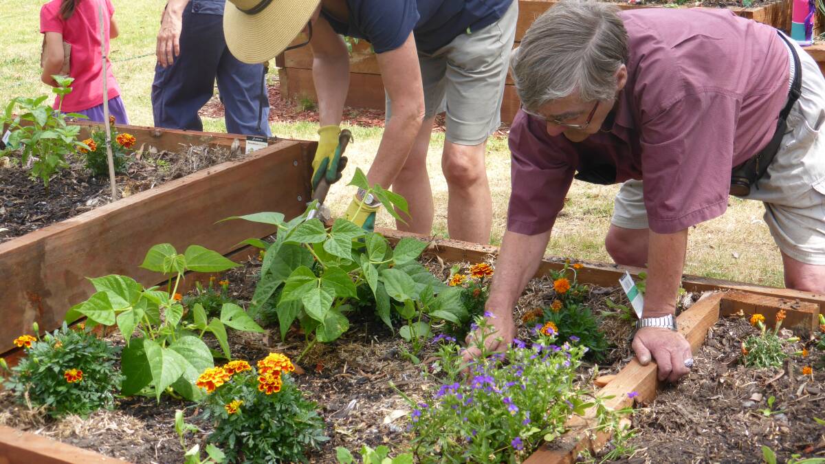 Residents rally to grow community garden
