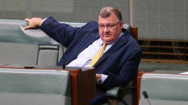 Liberal MP Craig Kelly in Parliament. Photo: Andrew Meares