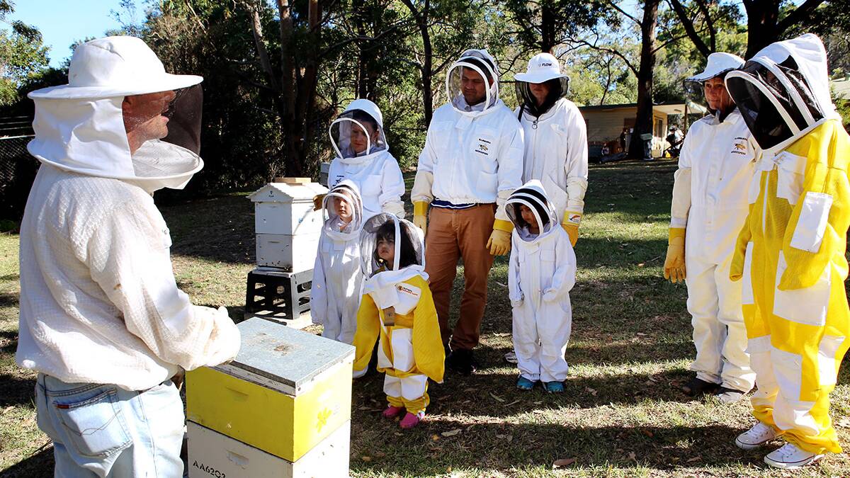 Bees:Vistiors can dress in protective clothing and take a tour through the apiary to look inside a working bee hive.