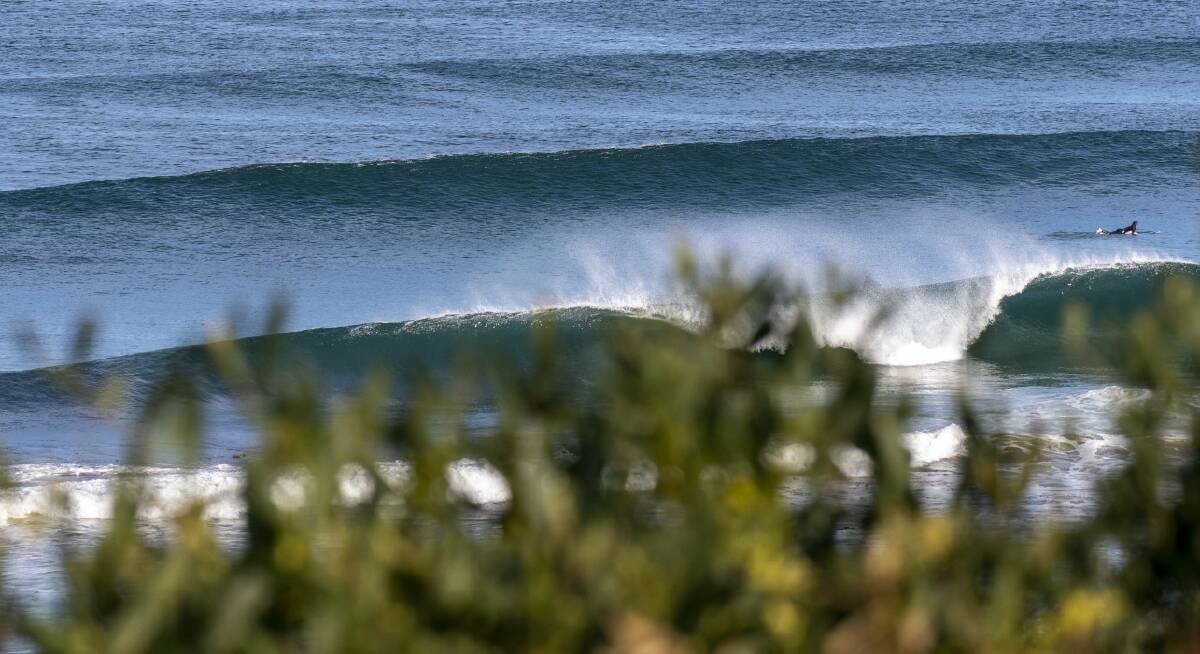 Covid safe:Picture Surfing NSW