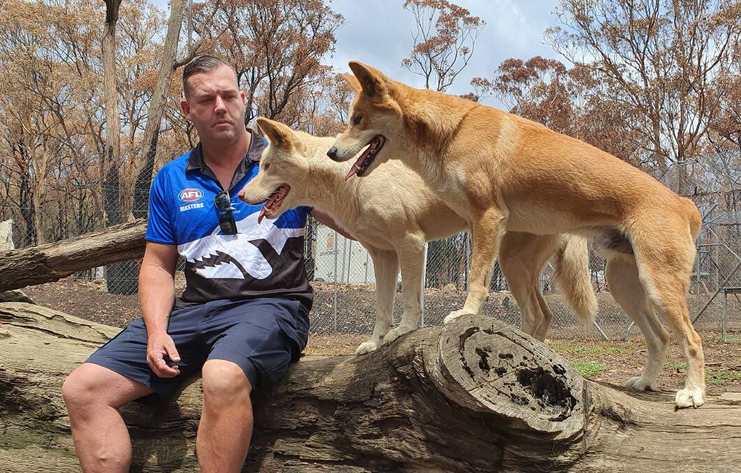 Dingoes: New Southern Dingoes coach Dion Burke with dogs from the Bargo Dingo Sanctuary which was devastated by the December 2019 fires.