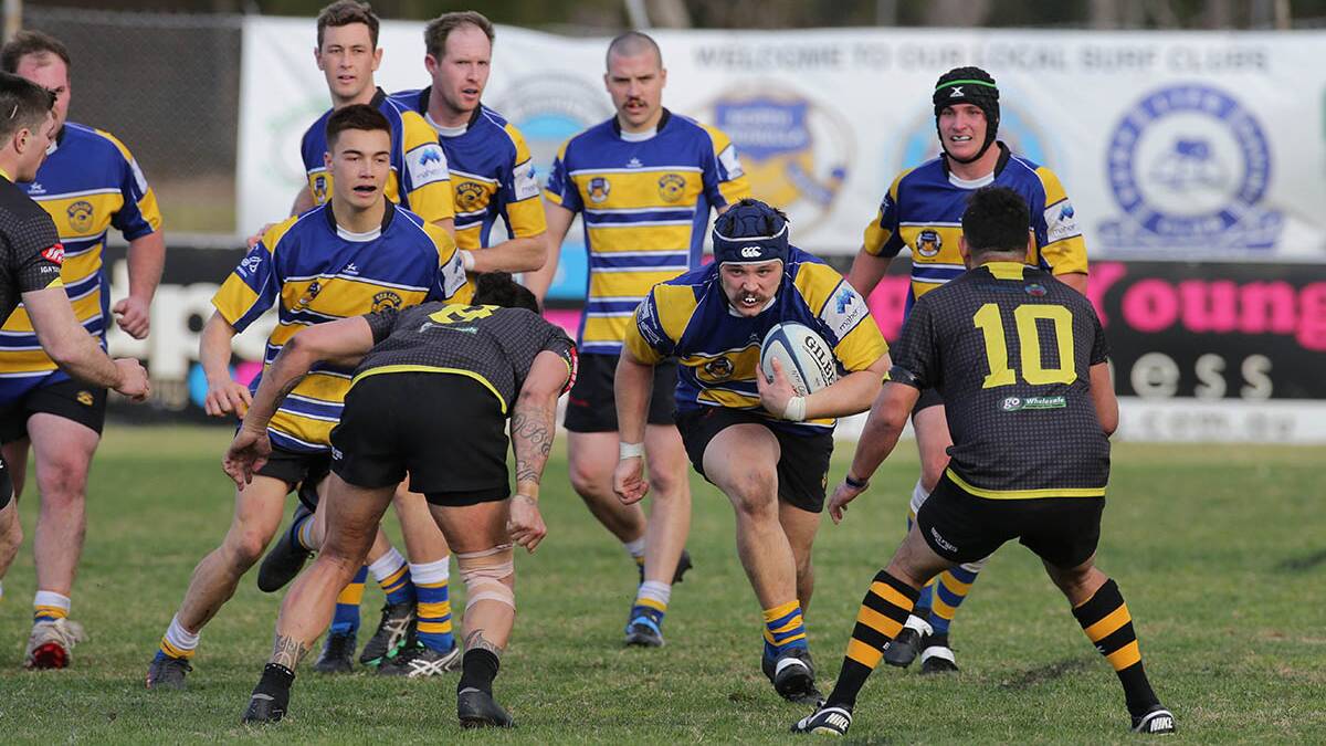 Sea Lice: After the Harry Gibbons Cup, the North Cronulla Rugby Club will be defending the Harry Gibbons Plate under lights at 5.15 pm against Burraneer Rugby Club. Picture: John Veage