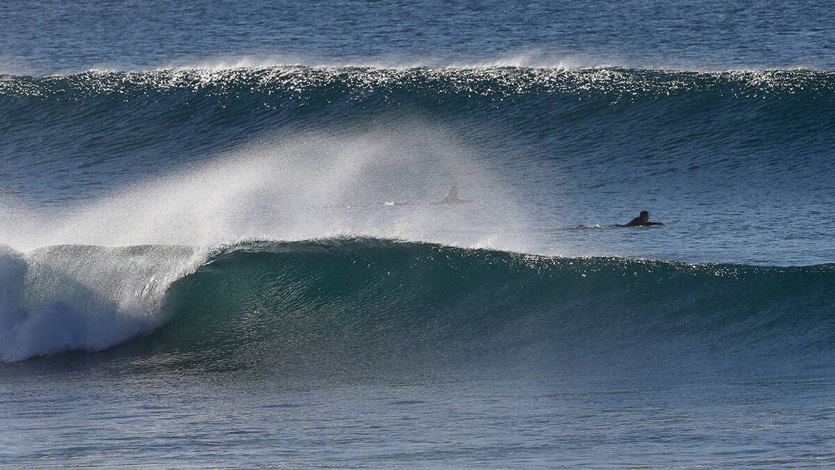 New surprise swell this morning -good waves for everyone this week in the Nulla.Picture John Veage