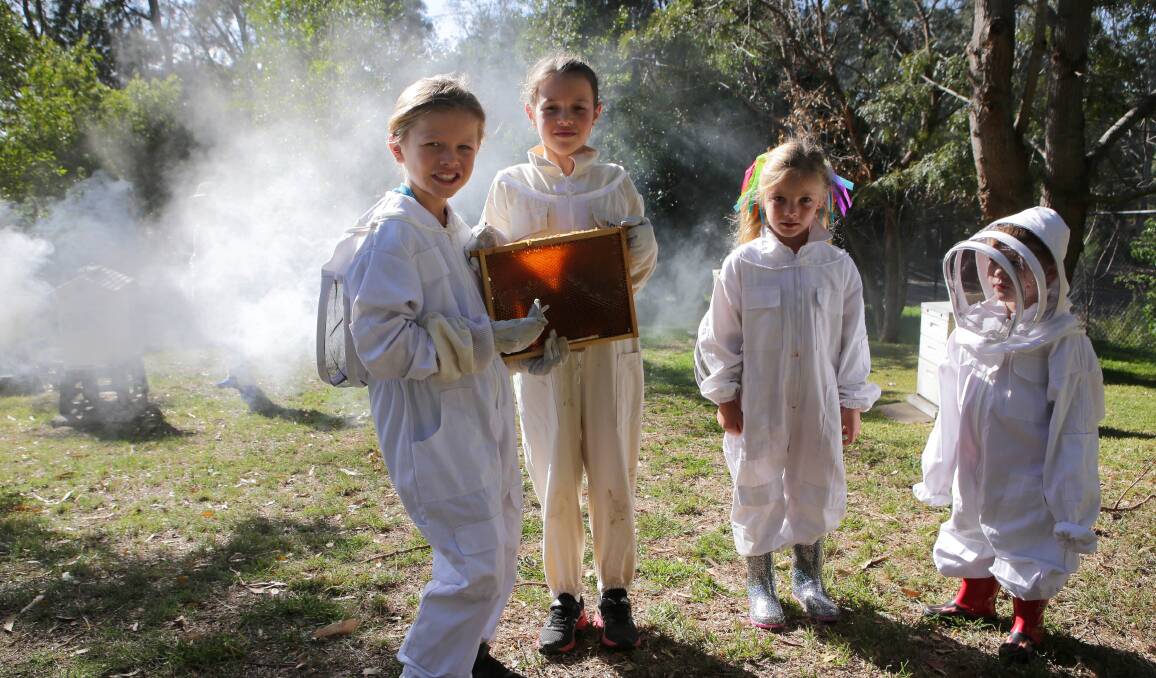 Flow: Vote for the Illawarra Beekeepers for their upcoming children's clinic-Jasper(7) and Sienna Darlow(9) and Prya(5) and Declan Gartside(3). Picture: John Veage