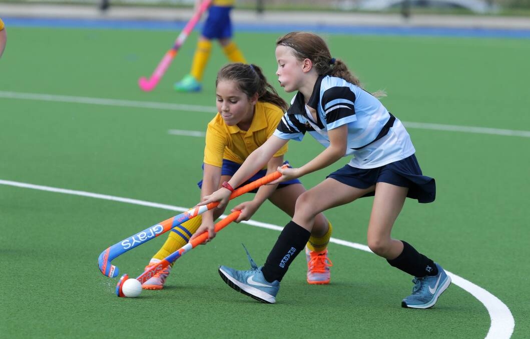 Sydney South Hockey hopes to resume competition in July. Picture: J Veage