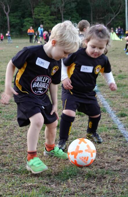 Tiger Cubs:The future is looking bright for the Oyster Bay based club