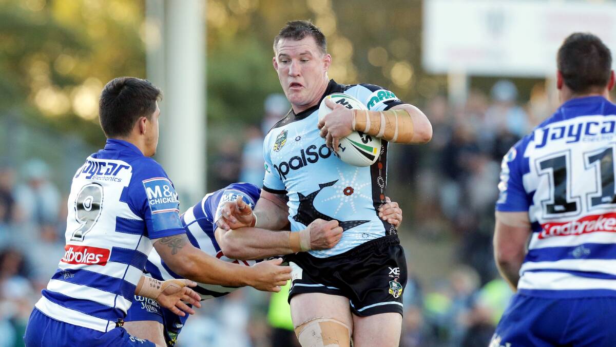 One more year: Sharks captain Paul Gallen announced last week he would play one final season with Cronulla in 2019. Picture: Chris Lane