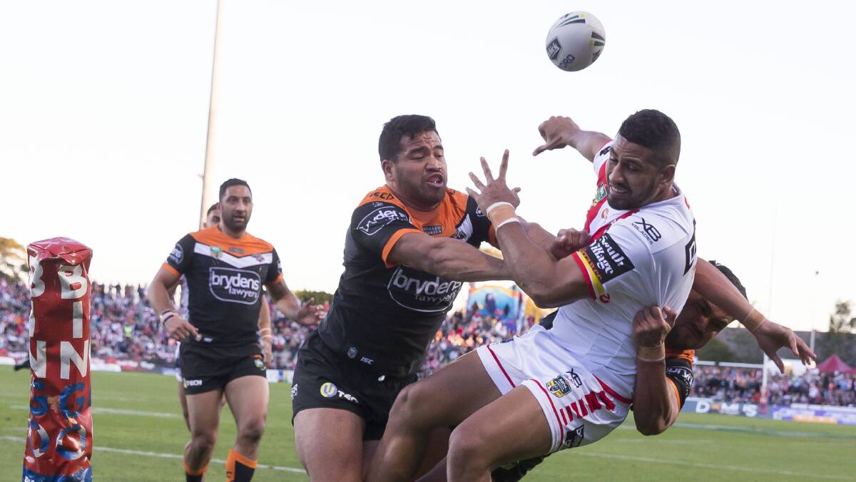 No way through: Dragons winger Nene Macdonald is tackled into touch by Tigers defenders. Picture: AAP Image