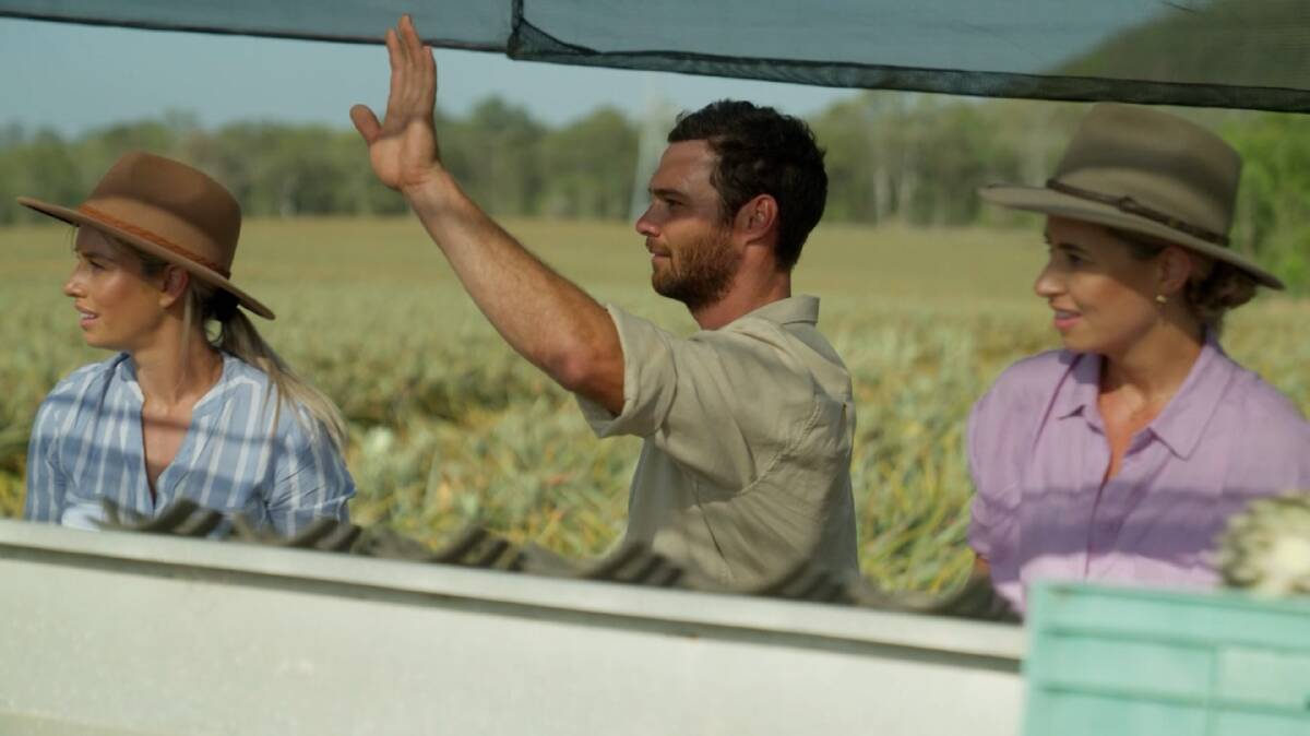 Farmer Bert gives a signal to either stop the pineapple picker or ease off on the drama. Picture supplied