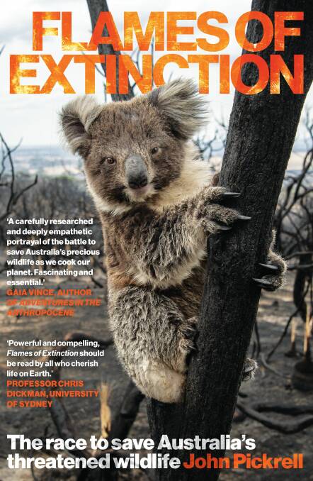 Book delves into animal conservation efforts during 2019/20 bushfires
