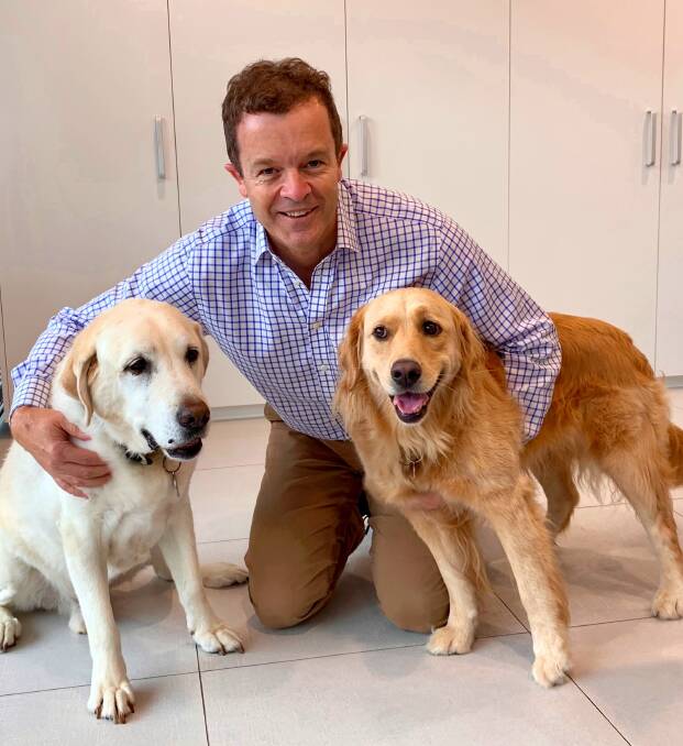 Mark Speakman with his dogs Ralph (labrador) and Lucy (golden retriever).