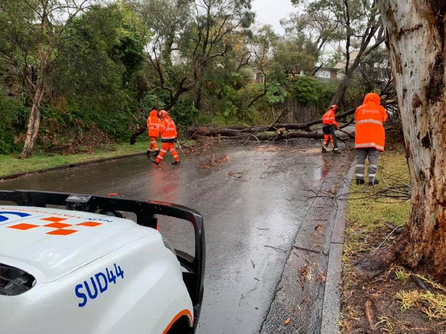 DANGER: Trees falling across roads are a serious hazard. Picture: Sutherland Shire SES