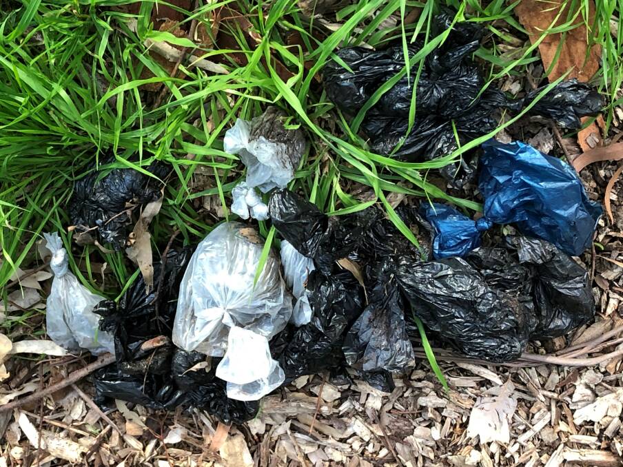 Poo problem: Bags of dog poo retrieved from the bushland at Forbes Creek Reserve. Picture: Supplied. 