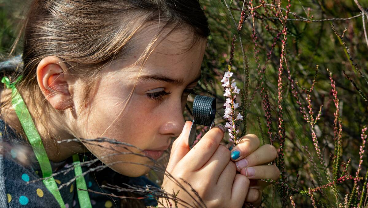 A young naturalist investigating the extraordinary beauty of wildflowers. Picture: Supplied