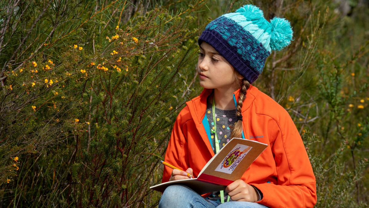 A young naturalist drawing native wildflowers in nature. Picture: Supplied