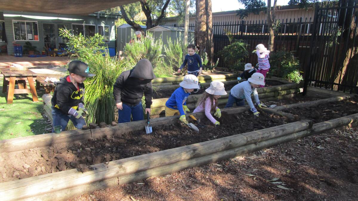 Nature play: Children at KU Heathcote Preschool tend to a vegetable garden they developed to celebrate 125 years of the preschool's founder, KU Children's Services. Picture: Supplied