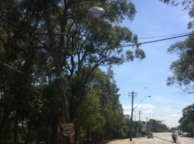Road chaos: The broken power pole on President Avenue at Kirrawee. Picture: Ausgrid