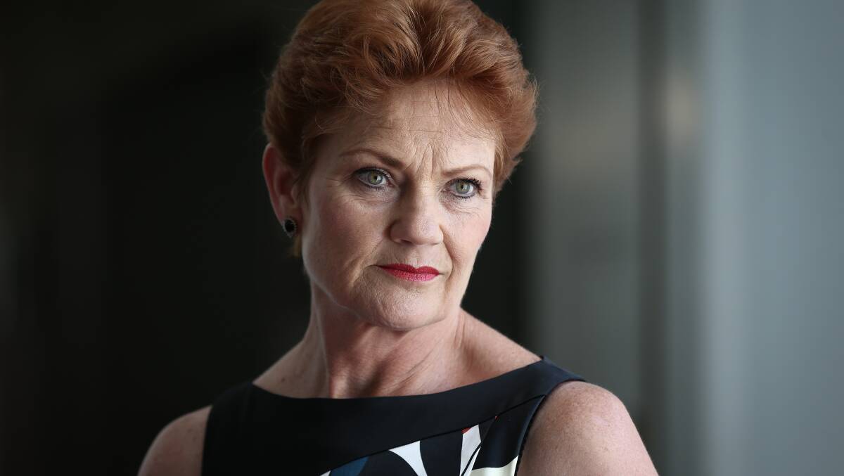 Political debate: Pauline Hanson pictured at Parliament House in December. Picture: Andrew Ellinghausen