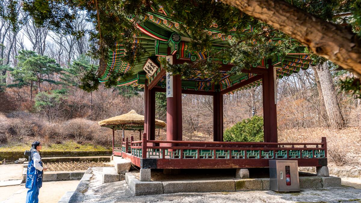 The Secret Garden of Changdeokgung Palace.