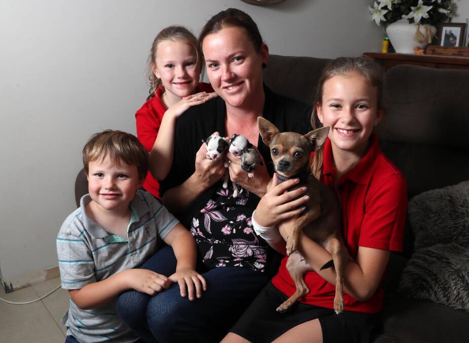 WELCOME HOME: The Neale family - Jack, 5, with mum Tracy, Charlotte, 7, and Kyla, 9 - are happily reunited with their dog Ellie. Picture: Les Smith 