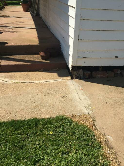 SCENE: The snake slithered from under a house at the Willaura property. Picture: CONTRIBUTED