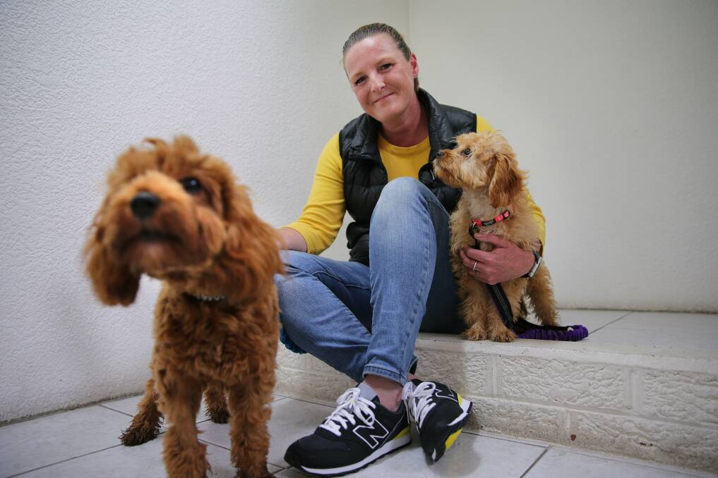 Best paws forward: Allyson O'Malley, with her dogs Ollie and Lucy, has launched a pet therapy venture to bring some joy to people in aged care. Picture: John Veage
