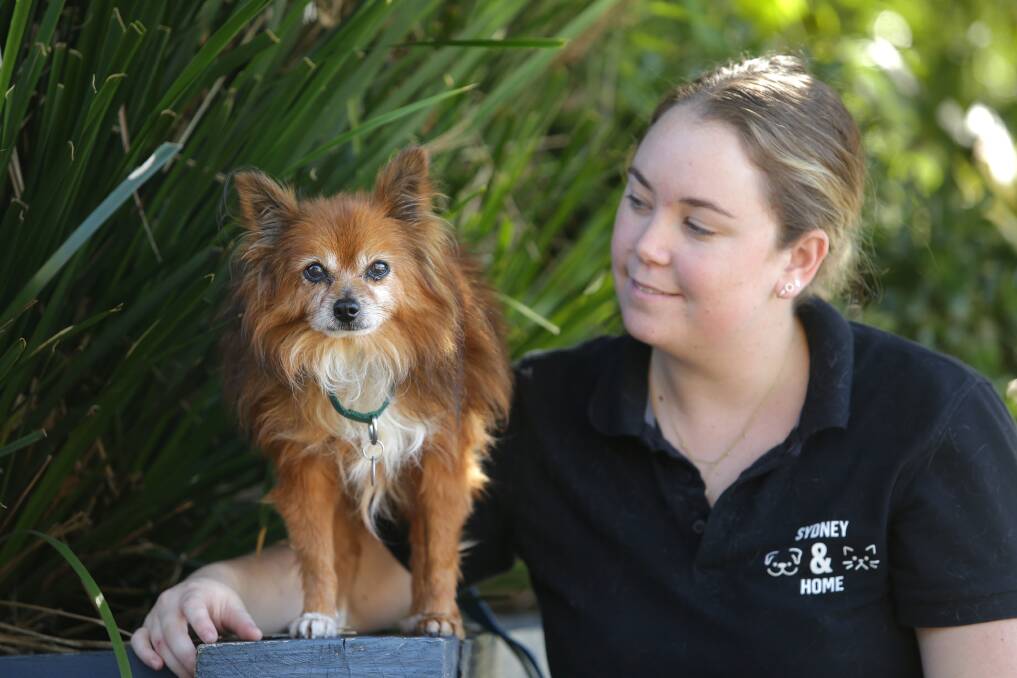Adopt a furry friend: Cedric with Alanna from Sydney Dogs and Cats Home. Picture: John Veage