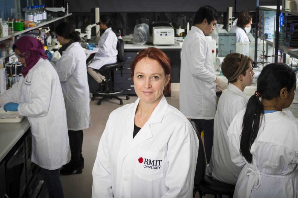 Innovative study: RMIT researchers have discovered ground-breaking findings into connections between the brain and gut, in relation to autism. Pictured is chief investigator, Associate Professor Elisa Hill-Yardin.