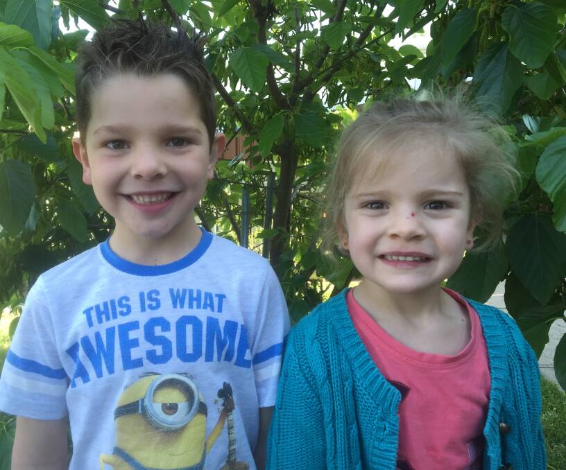 Sibling support: Lugarno brother and sister Levi, 6, and Charlie, 3, Helou are the faces of an annual charity that raises money for children with a hearing impairment.