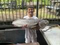 Charlie, 12, caught a 1.5 metre Jewfish at Como. Picture supplied