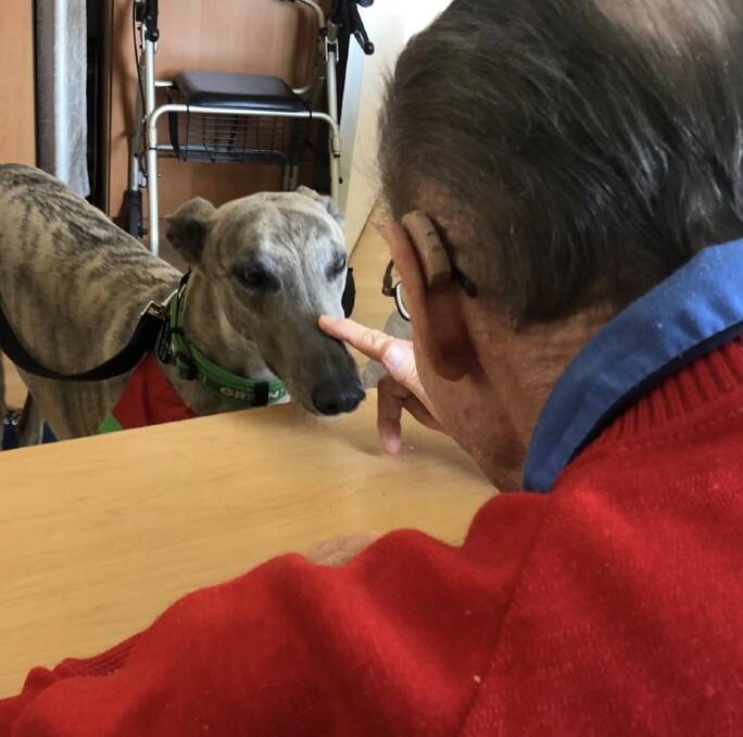 Furry buddies: Therapy dogs regularly visit aged care facility Bupa Bexley for a cuddle and a pat.