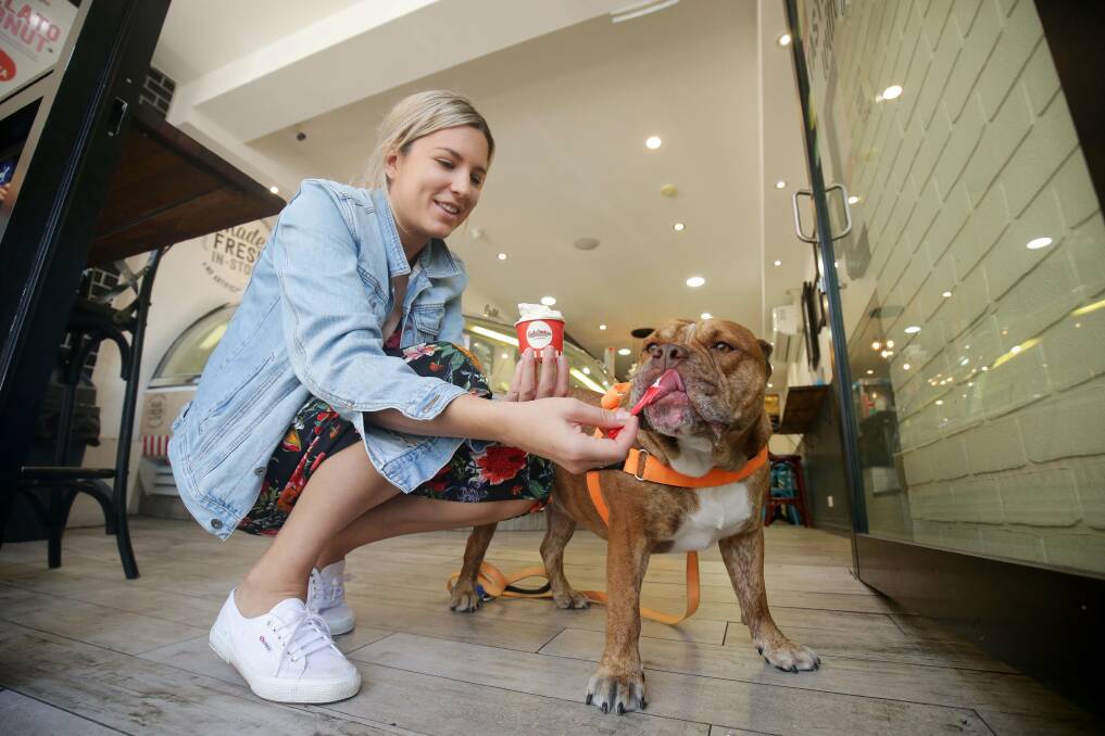 Mutt's melting moment: Carlos enjoying an ice-cream with owner Sandra Maric. Picture: Chris Lane