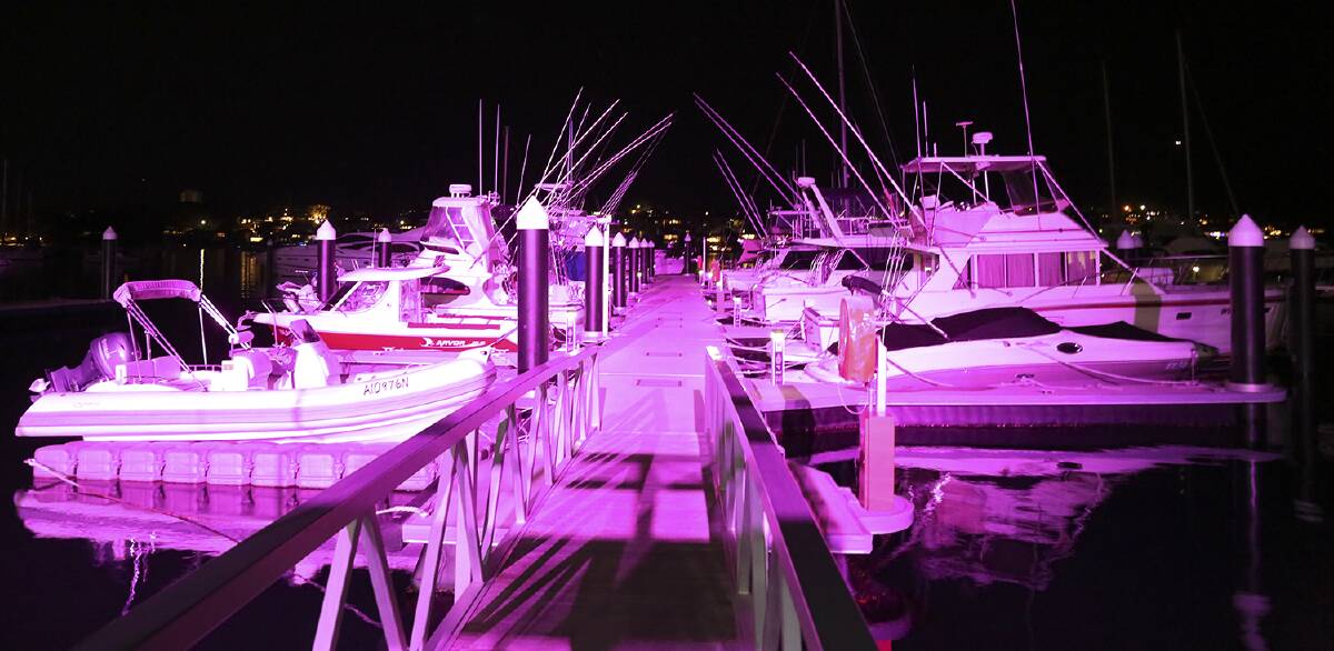Bright lights: The Royal Motor Yacht Club glows for cancer.