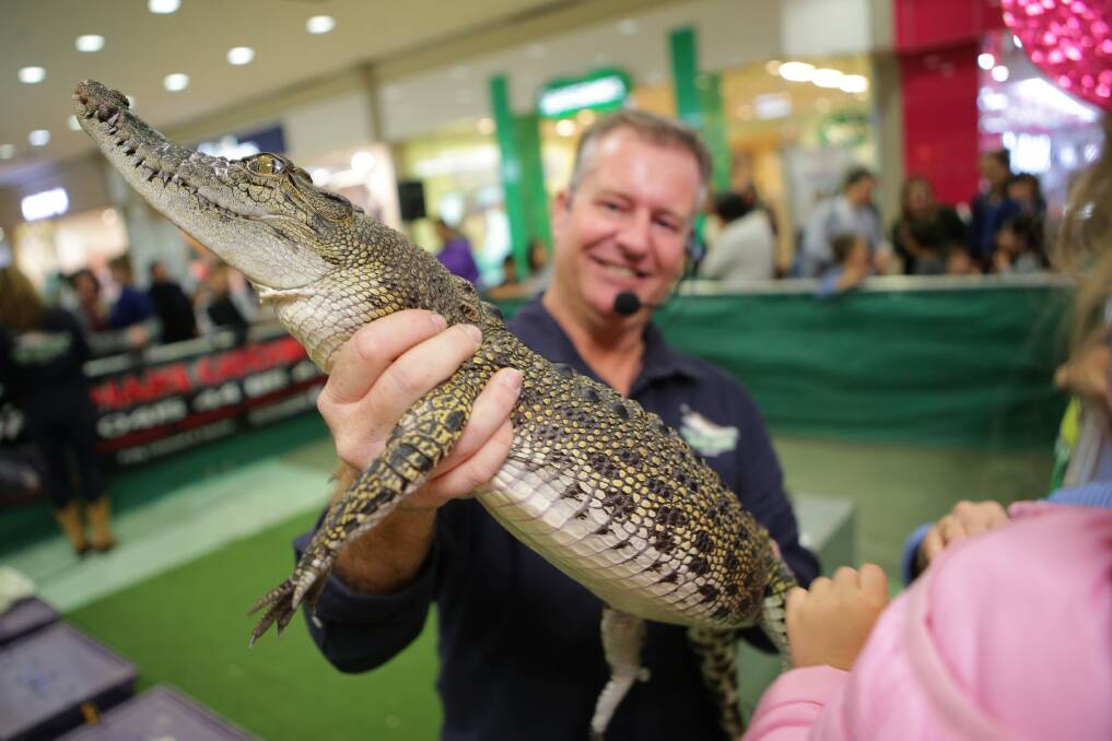 Up close: A reptile display at Rockdale Plaza. Picture: John Veage