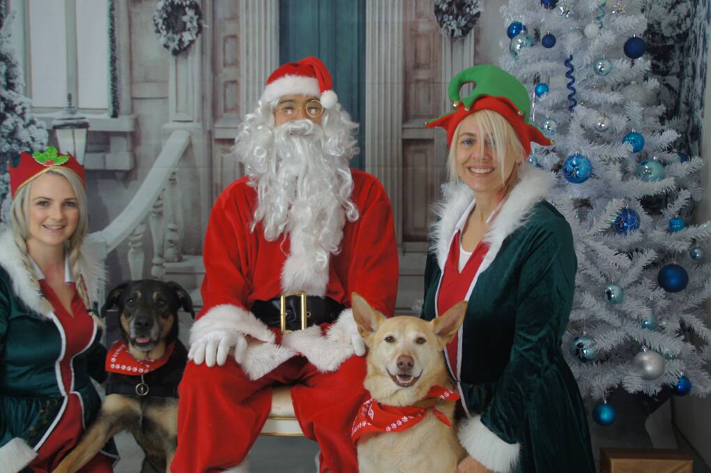 Meet and greet Santa with your fur babies for a worthy cause