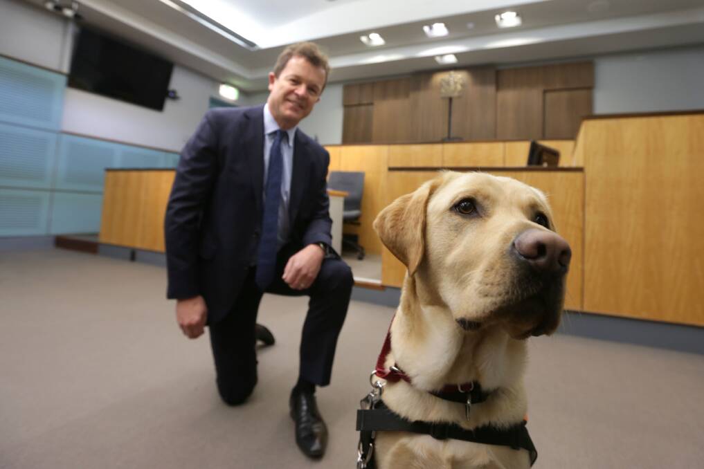 Hounds abound: Attorney General Mark Speakman with one of the companion dogs Sutherland Local Court, which will continue to provide therapy dogs. Picture: John Veage 