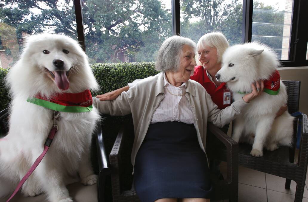 Furry friends: Delta Dogs volunteer Lucy Ford brings her dogs Daisy and Louie to Scalabrini Village Bexley as part of animal therapy sessions with residents including Mary Christy (front). Picture: John Veage
