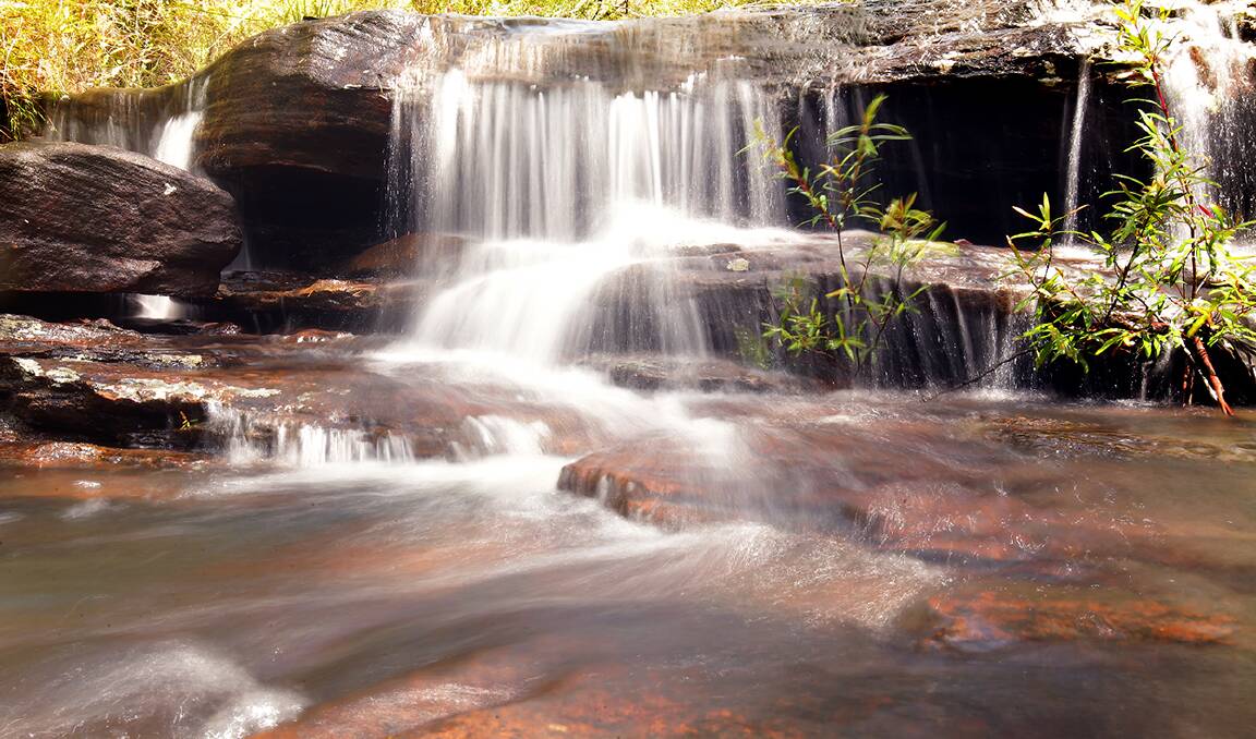Natural wonder: Explore nature in the Royal National Park these school holidays. Picture: Chris Lane