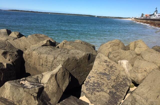 The deadly creature was found at Ramsgate Beach. Picture: Ramsey Sim