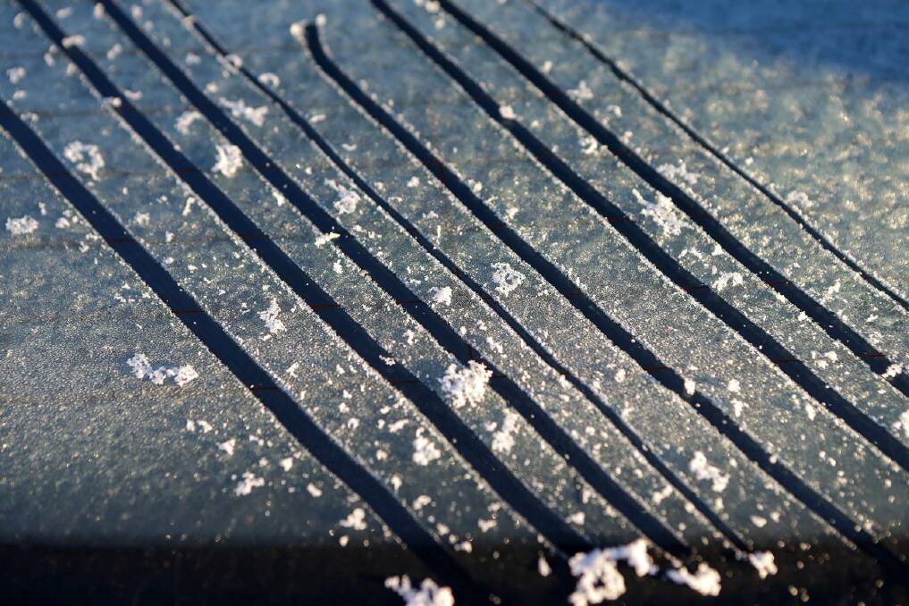 White speck of frost. Picture: John Veage