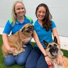 Animal care: Lisa Welling and Sandra Ma, pictured with rescue dogs JoJo and Bailey, are heading to the jungle to raise money for RSPCA NSW. 