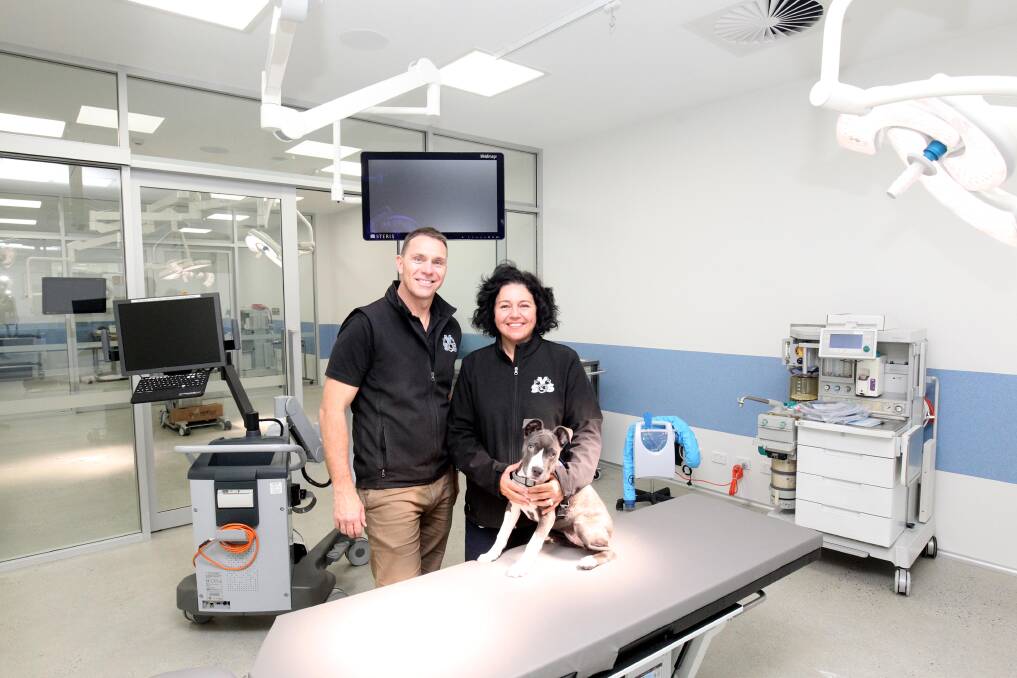Treatment hub: Veterinary Specialists of Sydney, Miranda, Manager Ana Kingi and General Manager Simon Graham in the new surgical suites. Picture: Chris Lane