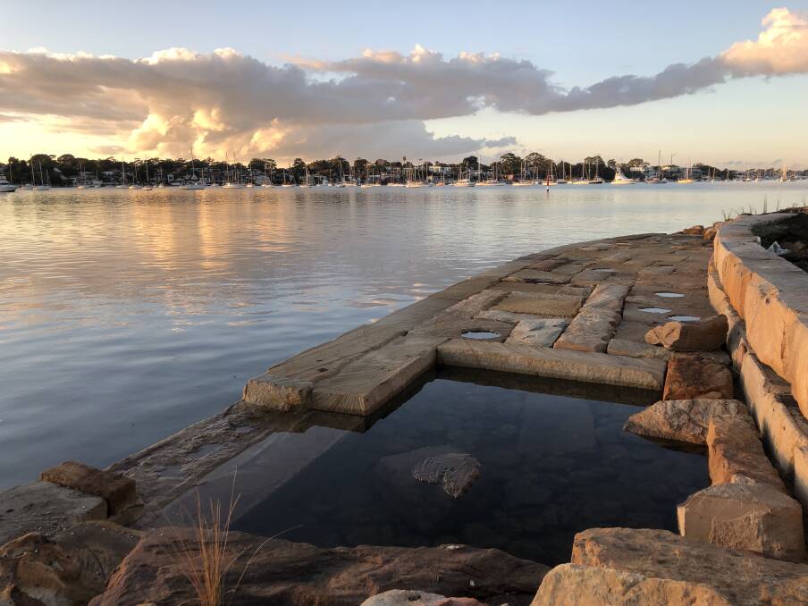 Habitat: Georges River Council's new seawall project at Carss Park aims to boost wildlife populations.