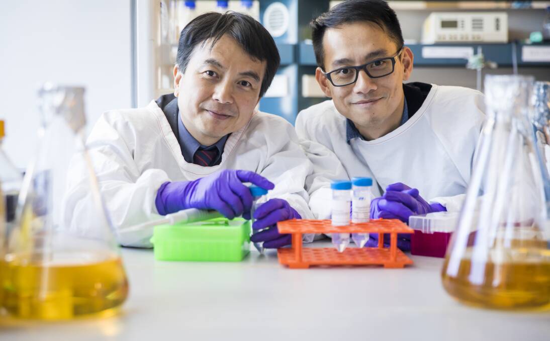 Study grants: St George and Sutherland Research Foundation has opened its grant program for 2019, to encourage researchers in the medical field to apply for funding.