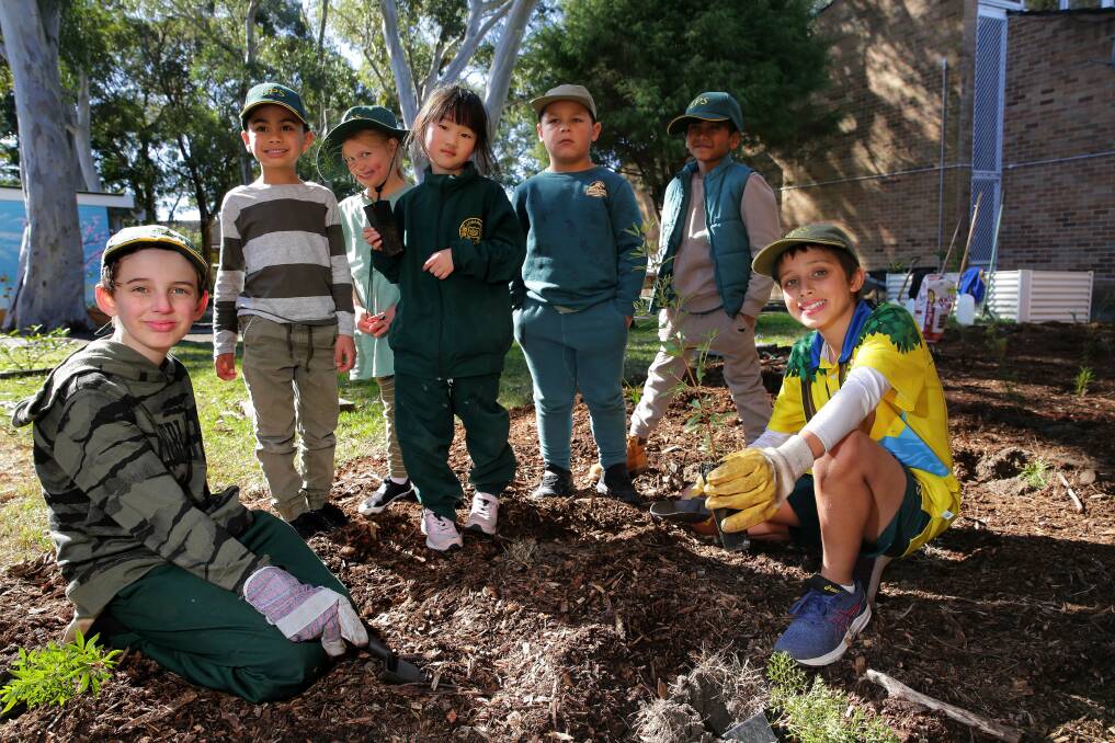 Lugarno Public School goes green for National Tree Day 2022 | St George ...