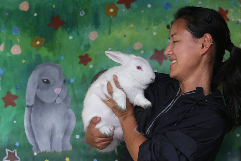 Easter bunny: Fatima Akemi from Sydney Dogs and Cats home holds one of the shelter's homeless bunnies, Iced Bun. Picture: John Veage