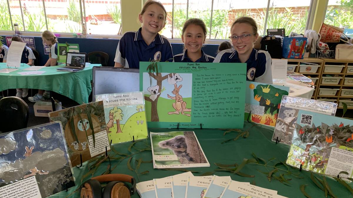Koala capers: Year 6 students from St Joseph's Primary School at Como held an expo recently to showcase their koala projects. Pictures: Supplied 