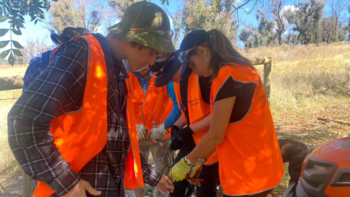 Lending a hand: Cronulla High School students travelled to the NSW Snowy Valley to help the community get back on its feet after last year's bushfires. Pictures: Supplied 