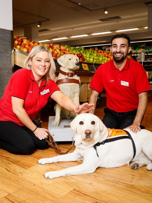 Top dogs: Coles Hurstville team members Gemma and Mohammed with Guide Dogs NSW/ACT amdassador dog Jana and the coin collection dog. Picture: Supplied